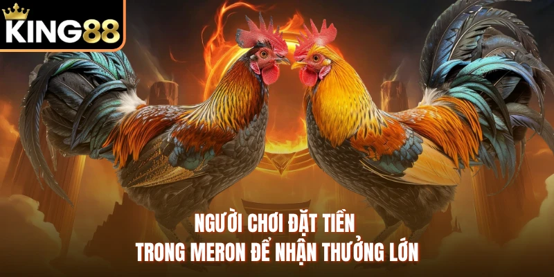 Người chơi đặt tiền trong Meron để nhận thưởng lớn 